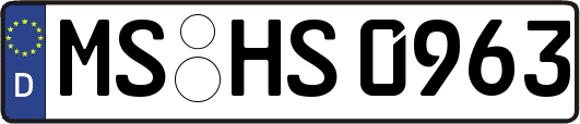 MS-HS0963