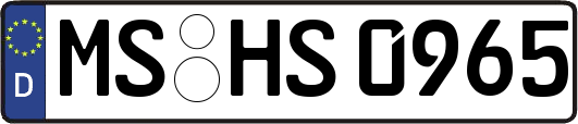 MS-HS0965