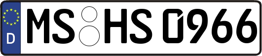MS-HS0966