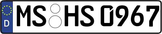 MS-HS0967