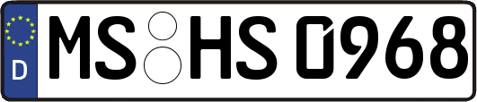MS-HS0968