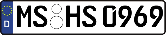 MS-HS0969