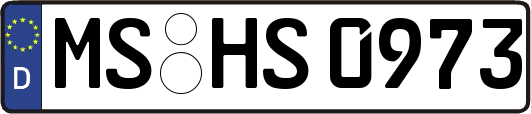 MS-HS0973