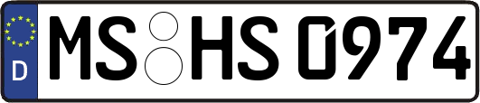 MS-HS0974