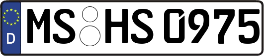 MS-HS0975