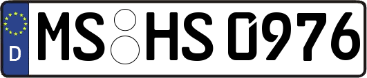 MS-HS0976