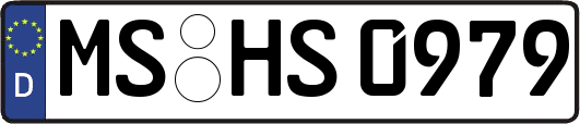 MS-HS0979