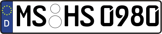 MS-HS0980