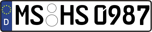 MS-HS0987