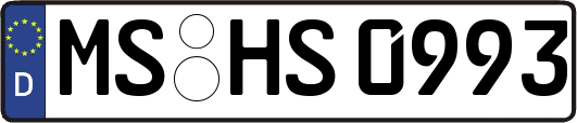 MS-HS0993