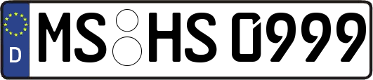 MS-HS0999