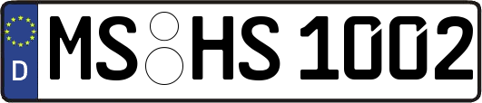 MS-HS1002