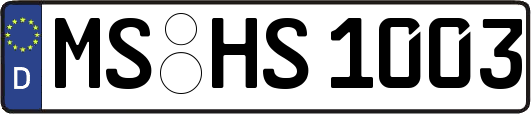 MS-HS1003