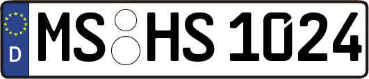 MS-HS1024