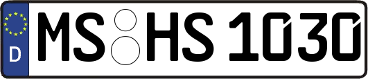 MS-HS1030