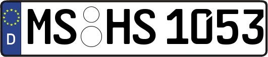 MS-HS1053