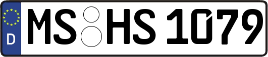 MS-HS1079
