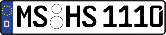 MS-HS1110