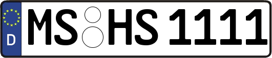 MS-HS1111