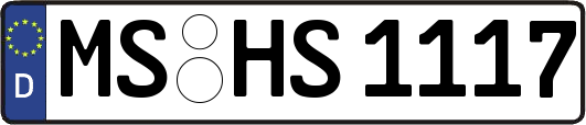 MS-HS1117