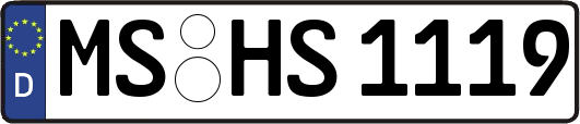 MS-HS1119