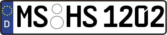MS-HS1202