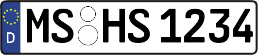MS-HS1234