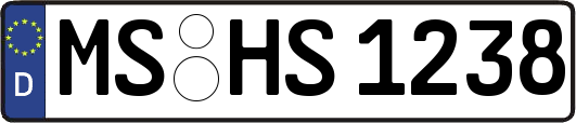 MS-HS1238