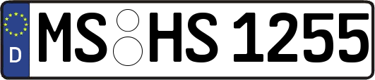 MS-HS1255