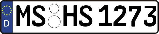 MS-HS1273