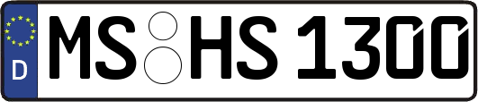 MS-HS1300
