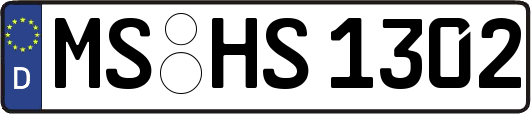 MS-HS1302