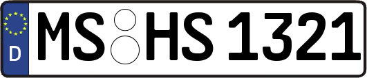 MS-HS1321