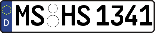 MS-HS1341