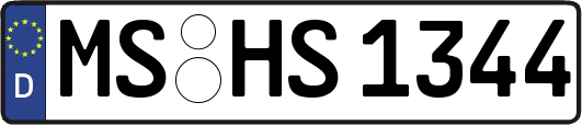 MS-HS1344