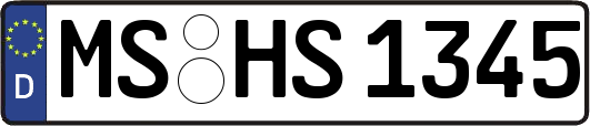 MS-HS1345