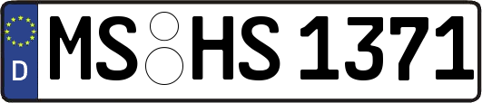 MS-HS1371