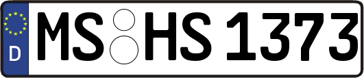 MS-HS1373