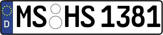 MS-HS1381