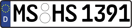 MS-HS1391