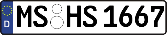 MS-HS1667