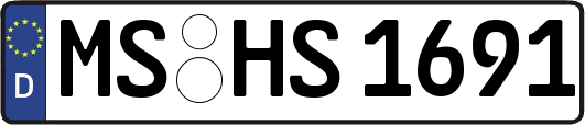 MS-HS1691