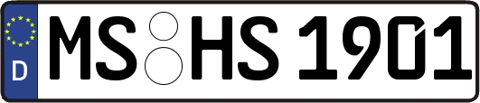 MS-HS1901