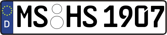 MS-HS1907