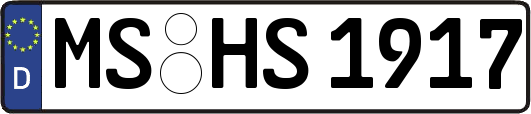 MS-HS1917