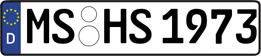 MS-HS1973