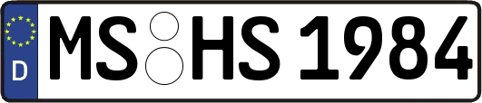 MS-HS1984