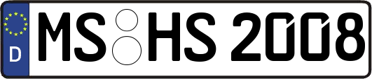 MS-HS2008
