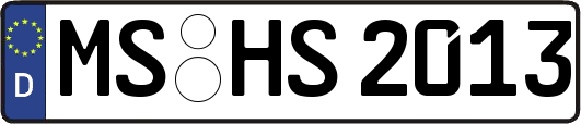 MS-HS2013