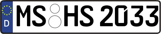 MS-HS2033